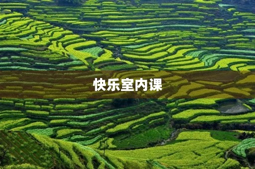 快乐室内课