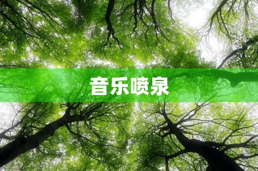音乐喷泉 音乐喷泉