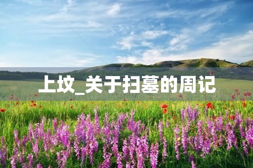 上坟_关于扫墓的周记 上坟_关于扫墓的周记