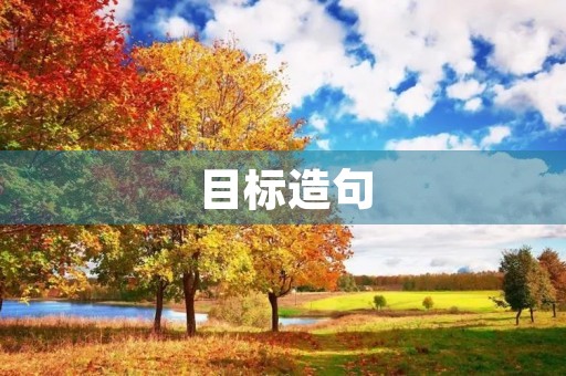 目标造句