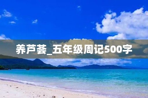 养芦荟_五年级周记500字 养芦荟_五年级周记500字