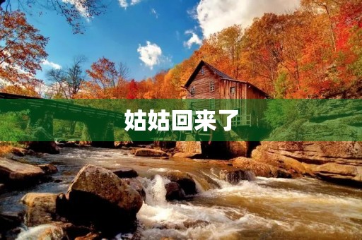 姑姑回来了
