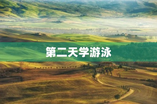 第二天学游泳