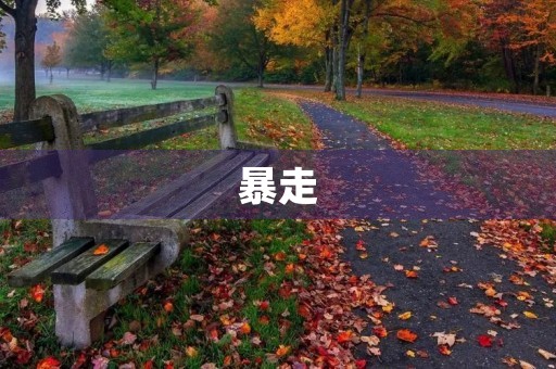 暴走