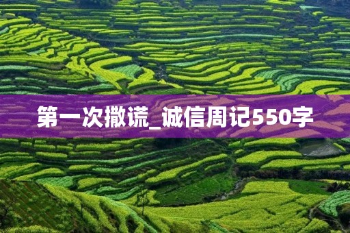 第一次撒谎_诚信周记550字 第一次撒谎_诚信周记550字