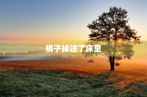 棋子掉进了床里
