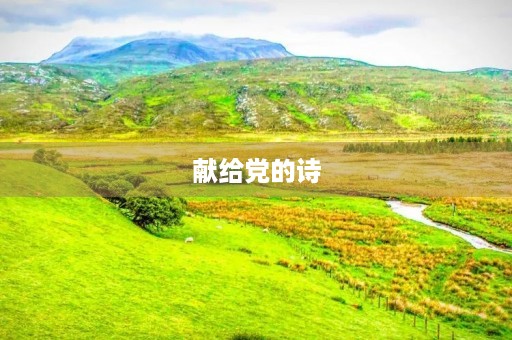 献给党的诗