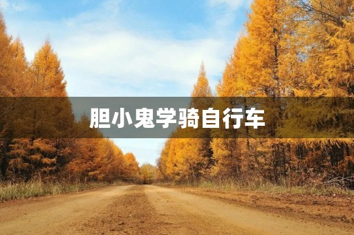 胆小鬼学骑自行车 胆小鬼学骑自行车