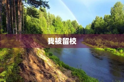 我被留校