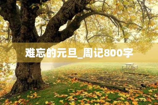 难忘的元旦_周记800字