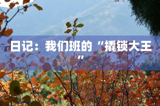 日记：我们班的“撬锁大王”