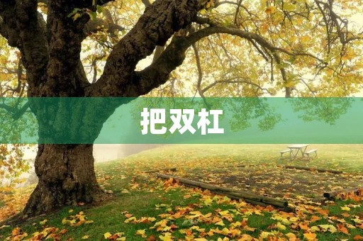 把双杠