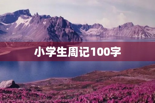小学生周记100字
