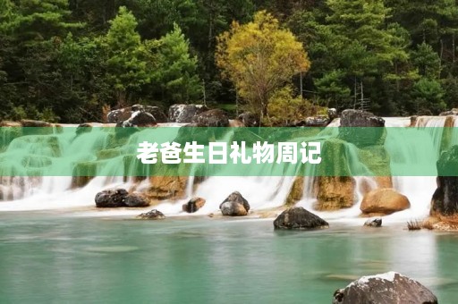 老爸生日礼物周记 老爸生日礼物周记