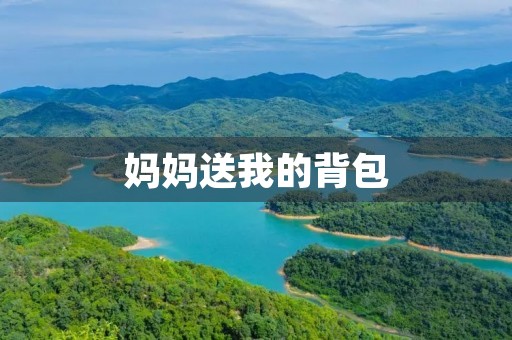 妈妈送我的背包