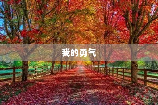 我的勇气