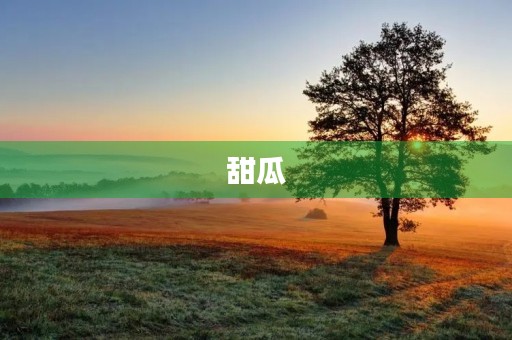 甜瓜