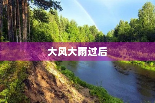 大风大雨过后 大风大雨过后