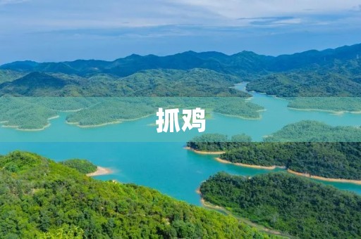 抓鸡