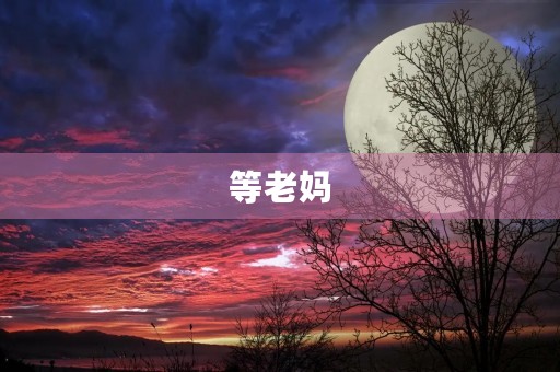 等老妈 等老妈