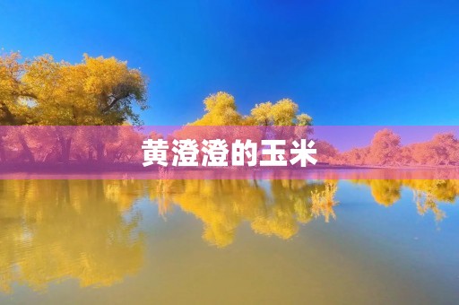 黄澄澄的玉米
