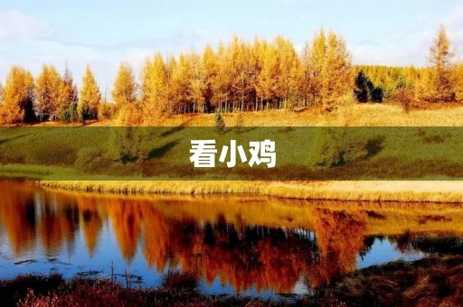 看小鸡