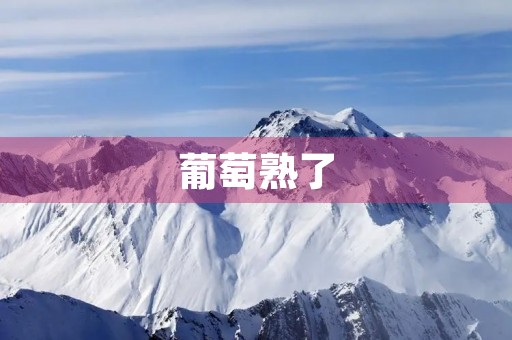葡萄熟了