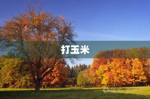 打玉米 打玉米