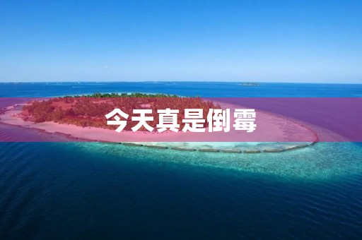 今天真是倒霉