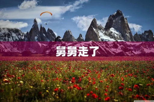 舅舅走了