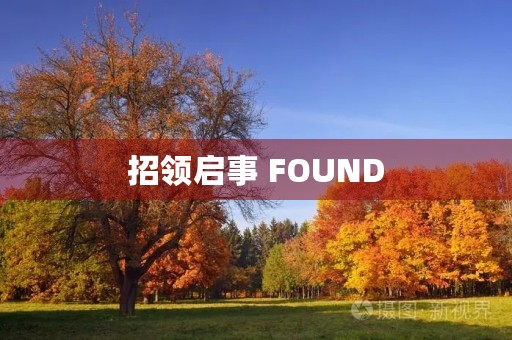 招领启事 FOUND 招领启事 FOUND