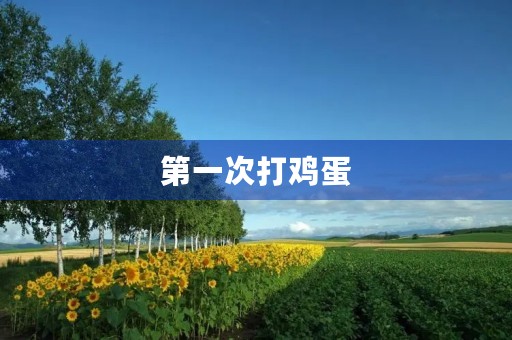 第一次打鸡蛋