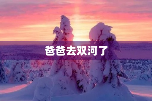 爸爸去双河了