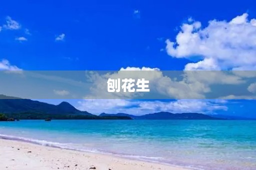 刨花生