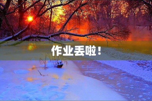 作业丢啦！