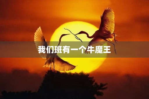 我们班有一个牛魔王 我们班有一个牛魔王