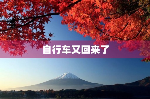 自行车又回来了 自行车又回来了