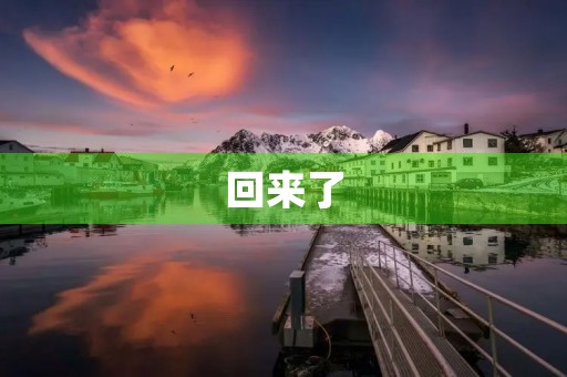 回来了