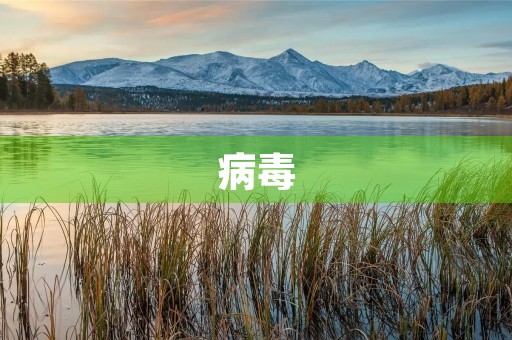 病毒 病毒
