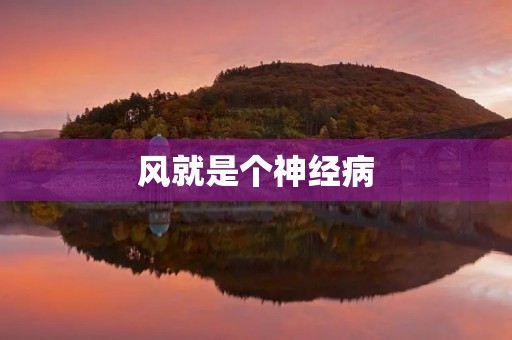 风就是个神经病