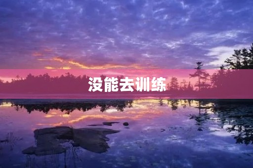 没能去训练 没能去训练