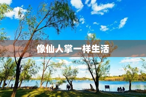 像仙人掌一样生活 像仙人掌一样生活