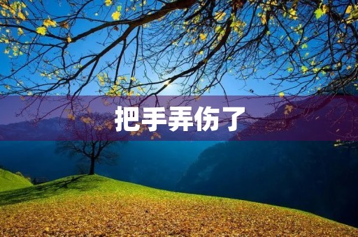 把手弄伤了