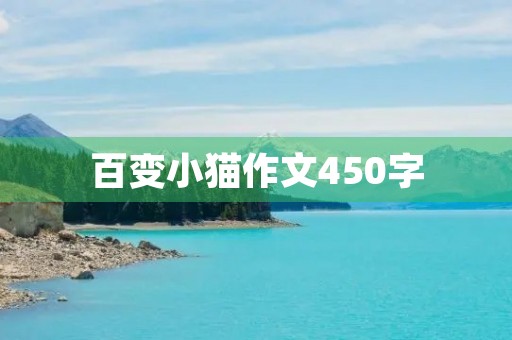 百变小猫作文450字
