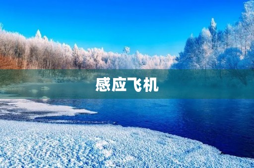 感应飞机