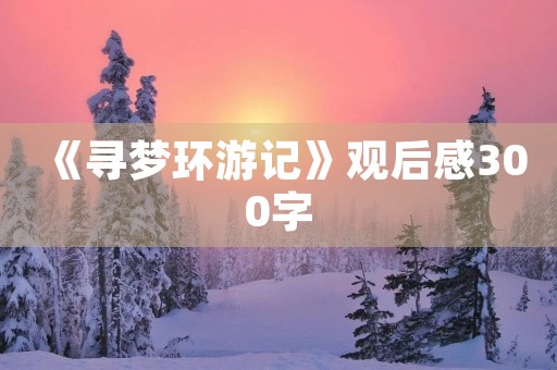 《寻梦环游记》观后感300字