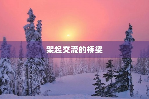 架起交流的桥梁 架起交流的桥梁