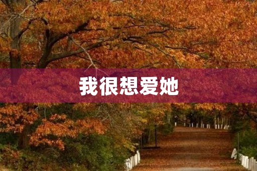 我很想爱她
