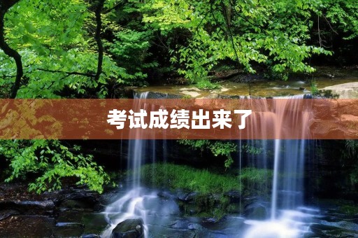 考试成绩出来了