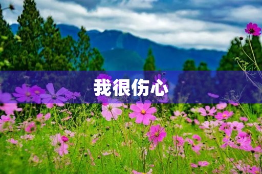 我很伤心 我很伤心